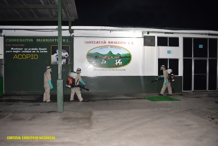 CAMOAPA1